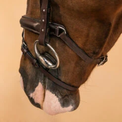 Horse Riding Leather Bridle With French Noseband 580 -Pro Rider Shop kc822917de402211203fa263cdec3974b