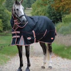Weatherbeeta Comfitec Premier Therapy Tec Detachaneck Medium Turnout Rug (Black/Silver/Red) -Pro Rider Shop kc85b9b8aed518eaa9447ba1bcfc36b5f