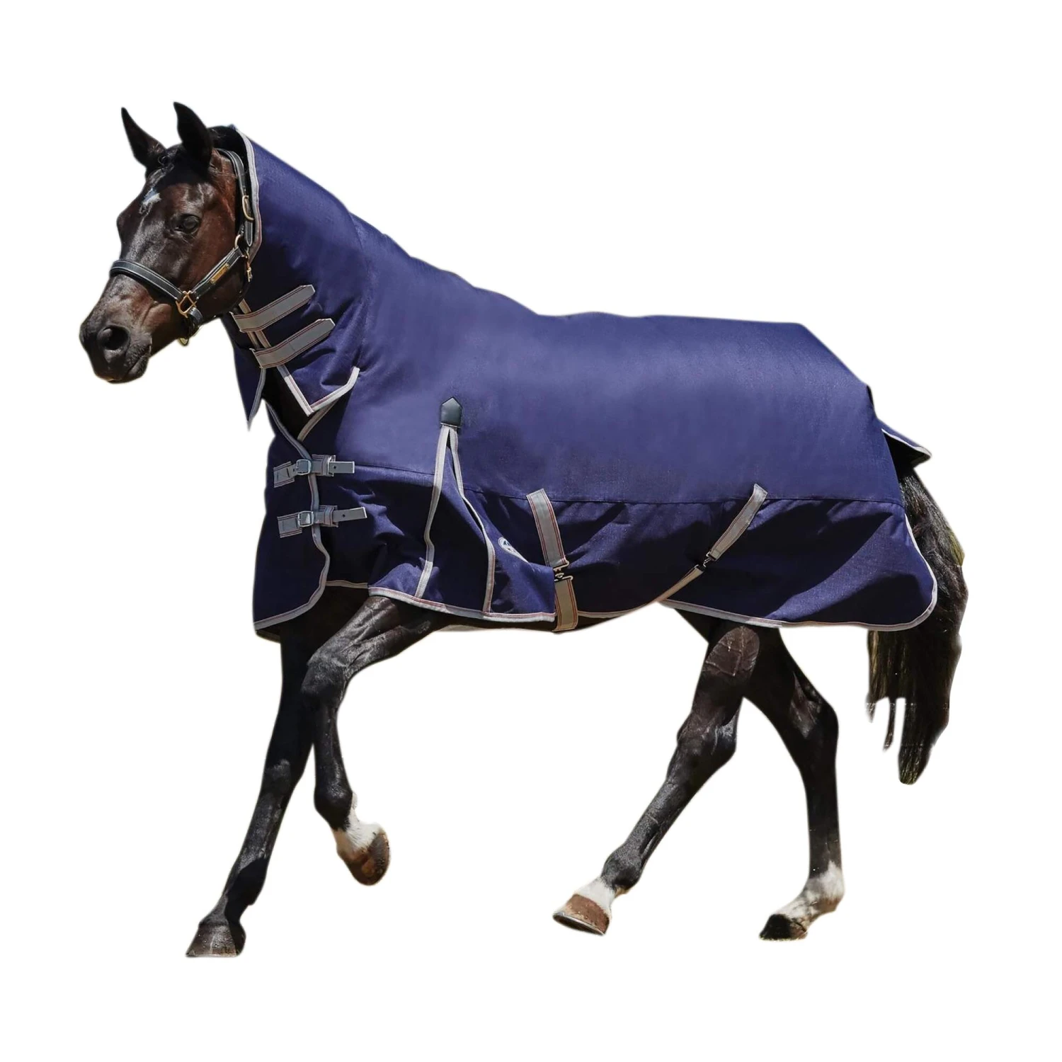 Weatherbeeta Comfitec Lite Essential Combo Neck Turnout Rug (Navy/Silver/Red) 1 Weatherbeeta Comfitec Lite Essential Combo Neck Turnout Rug (Navy/Silver/Red)