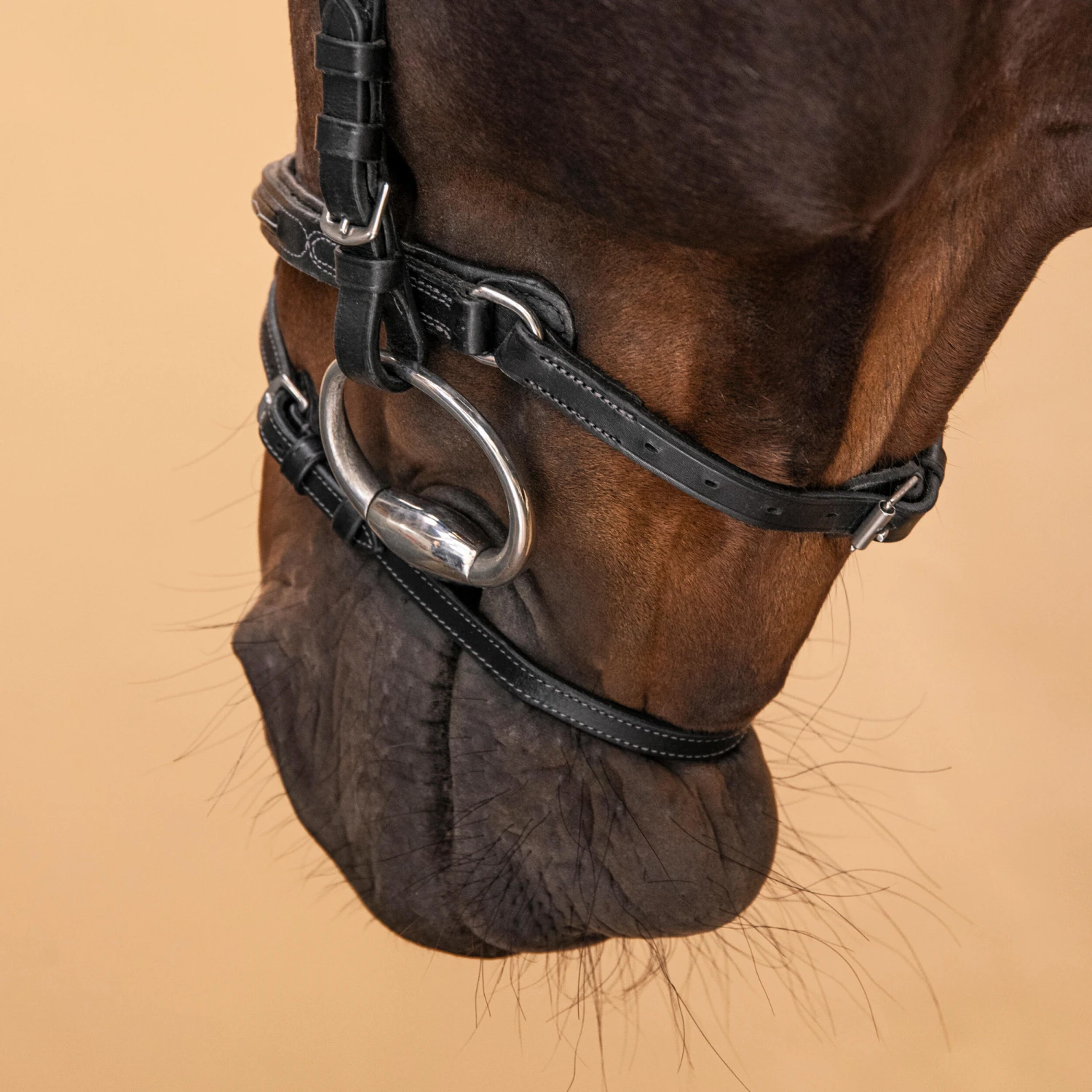 Horse & Pony Leather Bridle With French Noseband 580 7 Horse & Pony Leather Bridle With French Noseband 580 - Image 7
