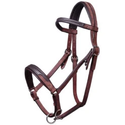 Trail Horse Riding Bridle / Halter And Reins Escape - Brown 33 Trail Horse Riding Bridle / Halter And Reins Escape - Brown -Pro Rider Shop kcaf514b8264a8675ad8a9265f64dc504