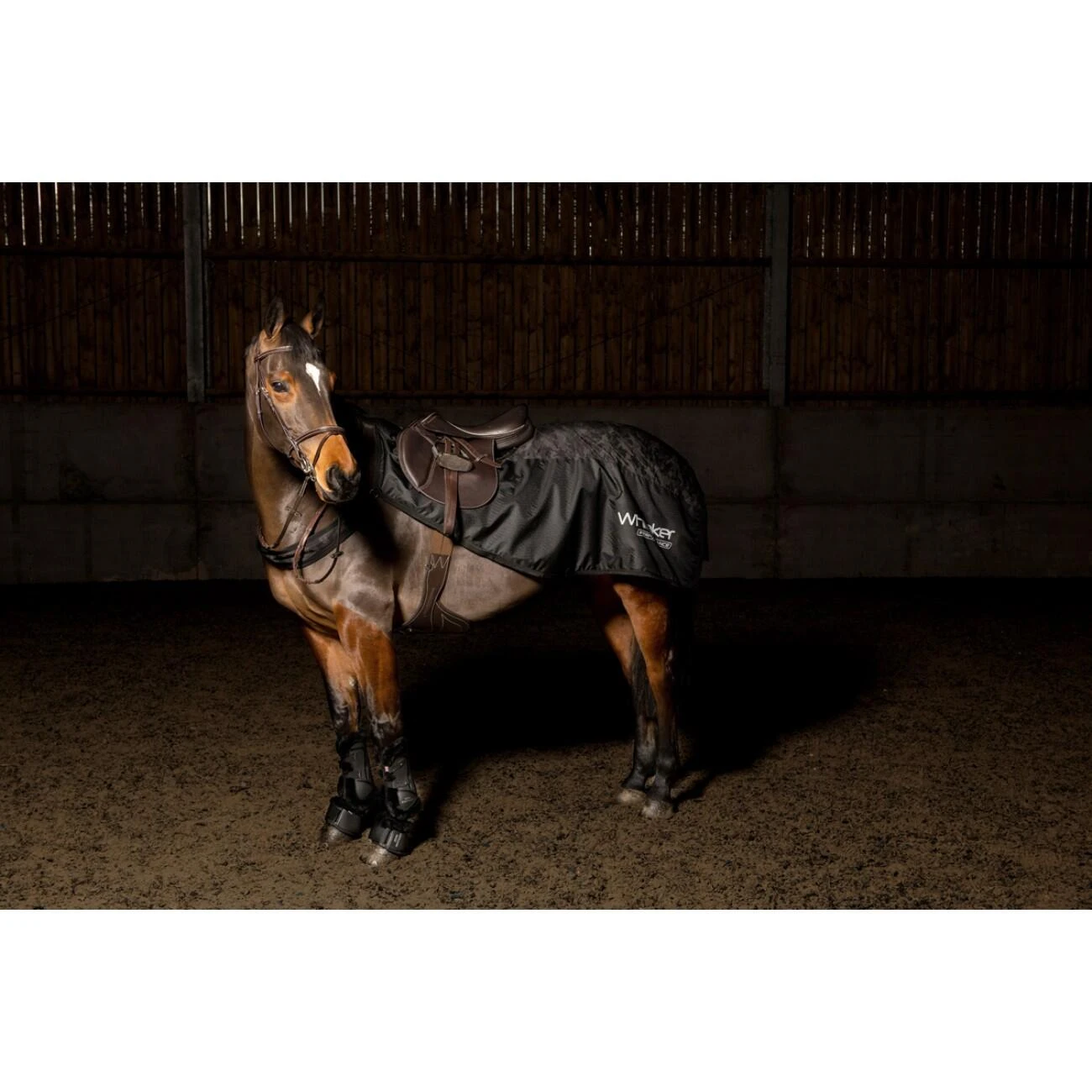 Sydney Reflective Exercise Sheet 2 Sydney Reflective Exercise Sheet - Image 2