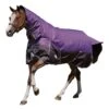 Weatherbeeta Comfitec Plus Lite Dynamic Combo Neck Turnout Rug (Purple/Black)
