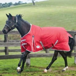 Weatherbeeta Comfitec Classic Medium Lite StandardNeck Horse Turnout Rug (Red/Silver) -Pro Rider Shop kcda4bcc72fa72636a9006d3ae8808bb4