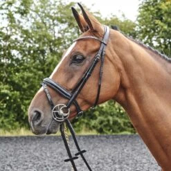 Barton Bling Flash Bridle With Rubber Reins 11 Barton Bling Flash Bridle With Rubber Reins -Pro Rider Shop kce8e628a10469b08103c1ad463a6a9bb