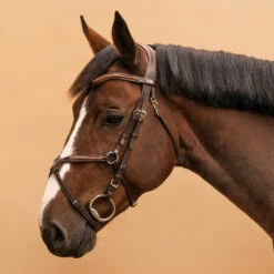 Horse Riding Crossed-Noseband Leather Bridle For Horse And Pony 580 24 Horse Riding Crossed-Noseband Leather Bridle For Horse And Pony 580 -Pro Rider Shop kcedc9b5acc7ed68bee403a7fce9b3ac2