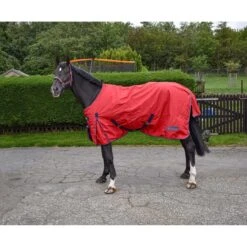 R189S Rastrick 0g Lightweight Horse Turnout Rug In Red 5 R189S Rastrick 0g Lightweight Horse Turnout Rug In Red -Pro Rider Shop kcf2e2ea92aa7789a935701408f518e0e