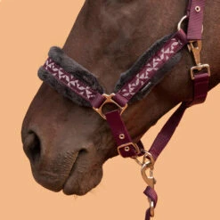 Horse Riding Halter + Leadrope Kit For Horse & Pony Comfort 19 Horse Riding Halter + Leadrope Kit For Horse & Pony Comfort -Pro Rider Shop kd33012153e5d2b43303b840a5e0a0ead