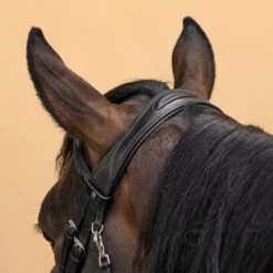 Horse & Pony Leather Bridle With French Noseband 580 20 Horse & Pony Leather Bridle With French Noseband 580 -Pro Rider Shop kd4966c3bdf189480d236bfdcc8b362c3