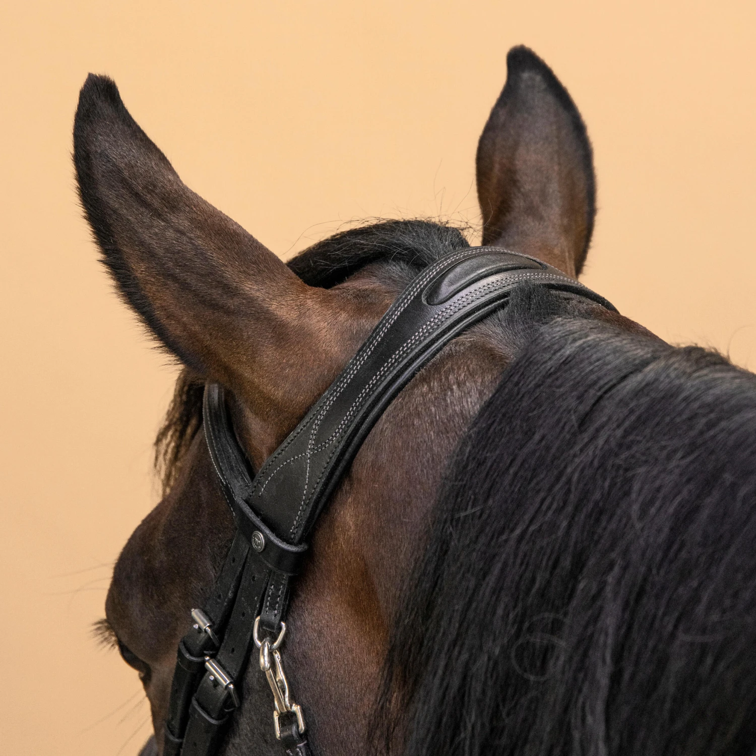 Horse & Pony Leather Bridle With French Noseband 580 5 Horse & Pony Leather Bridle With French Noseband 580 - Image 5