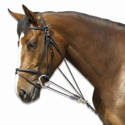 Horse Riding Schooling Gogue For Pony 22 Horse Riding Schooling Gogue For Pony -Pro Rider Shop kd55f52b7e71f644fe43ece10e5c9f22b