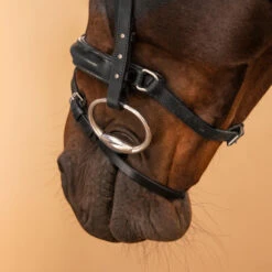 Horse Riding Leather Bridle With French Noseband 580 -Pro Rider Shop kd611fb1abab81239f8e893aed64c6430