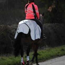 Weatherbeeta Reflective Wrap Around Horse Exercise Sheet (Silver/Black) -Pro Rider Shop kd9054c79601c110388861bcabedca36d