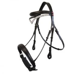 Lynton Snaffle Bridle With X2 Browbands -Pro Rider Shop kda1def9d68d8d0cef64f8c289be68aa7