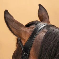 Horse Riding Glossy Leather Bridle With French Noseband For Horse & Pony 580 18 Horse Riding Glossy Leather Bridle With French Noseband For Horse & Pony 580 -Pro Rider Shop kdadcc8e1067f3a913bfe97e0f9eba293