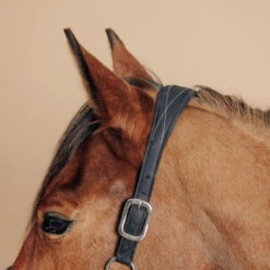 Horse Riding Synthetic Leather Halter For Horse & Pony 500 15 Horse Riding Synthetic Leather Halter For Horse & Pony 500 -Pro Rider Shop kdd873bd1e9075f2f6c17a62b3be142e5