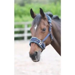Fleece Lined Horse Lunge Cavesson (Navy)