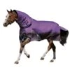 Weatherbeeta Comfitec Lite Plus Dynamic DetachANeck Turnout Rug (Purple/Black)