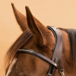 Horse Riding Leather Bridle With French Noseband 580 -Pro Rider Shop ke50c79154e0178e193dd5bd6e53de58e