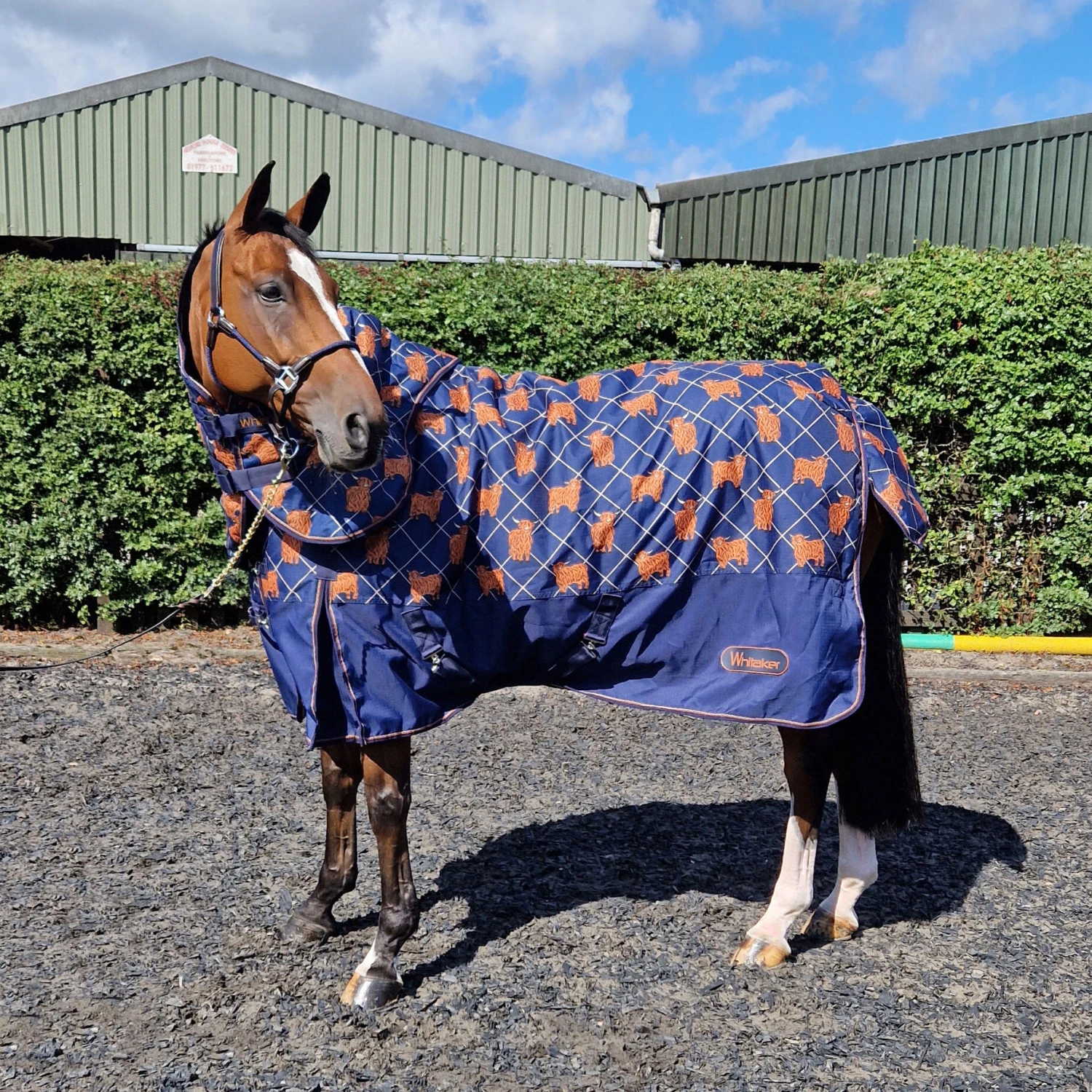 Angus 170g Medium Weight Combo Turnout 2 Angus 170g Medium Weight Combo Turnout - Image 2