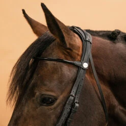 Horse & Pony Dressage Double Bridle 900 15 Horse & Pony Dressage Double Bridle 900 -Pro Rider Shop kea6b7f7557744f4bf4006f398e141884