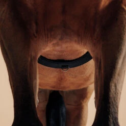 Horse Riding Horse Or Pony Lunging Roller 10 Horse Riding Horse Or Pony Lunging Roller -Pro Rider Shop keaf4d99e3c0ec99aca6dc417e27b02d7