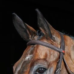 Ready To Ride Flash Bridle 19 Ready To Ride Flash Bridle -Pro Rider Shop kee74e8e055e80e1ce836ba7609b240dc