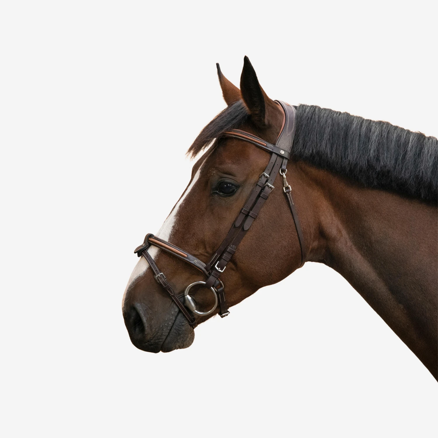 Horse & Pony Leather Bridle With French Noseband 580 9 Horse & Pony Leather Bridle With French Noseband 580 - Image 9