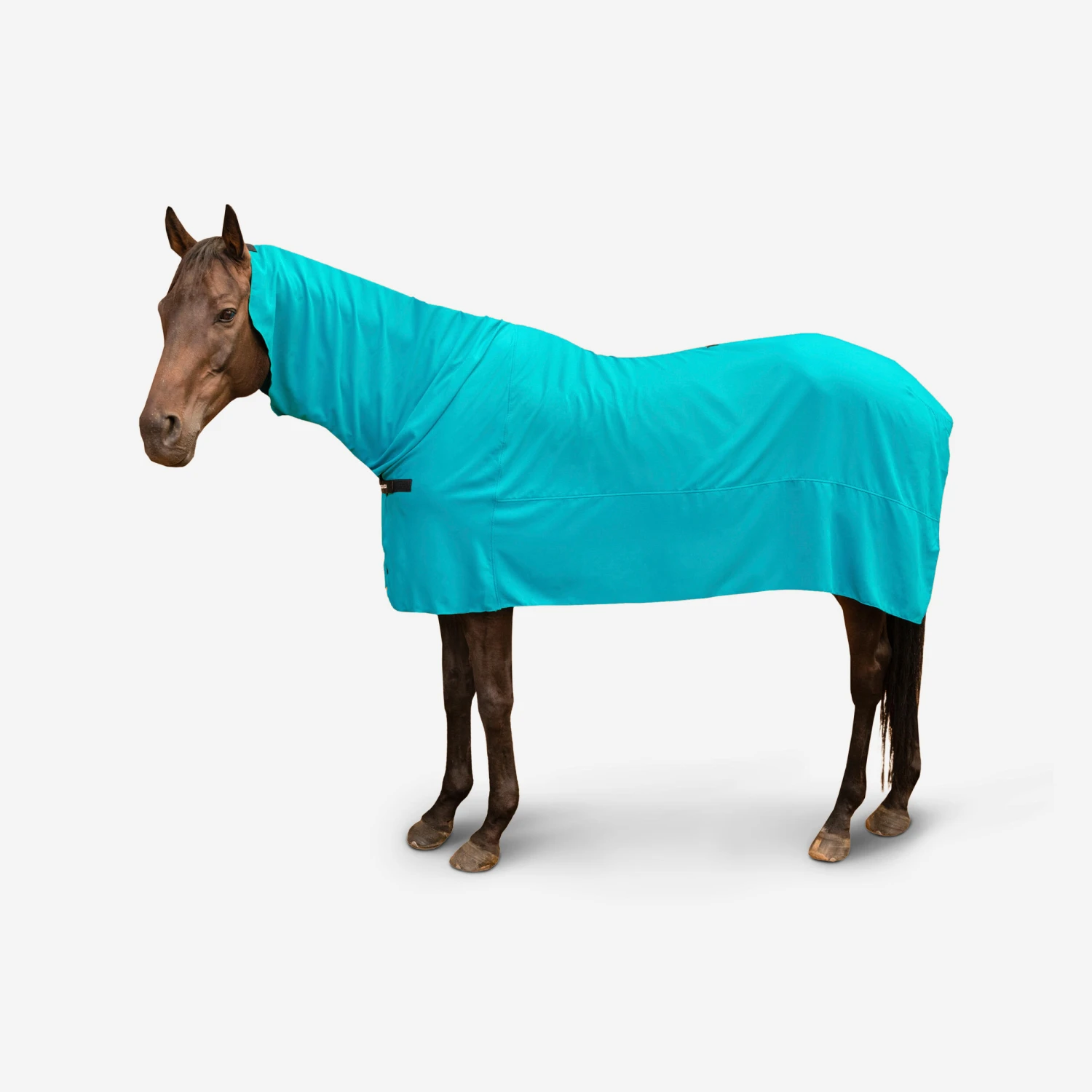 Horse Riding Full Microfibre Drying Sheet For Horse 1 Horse Riding Full Microfibre Drying Sheet For Horse