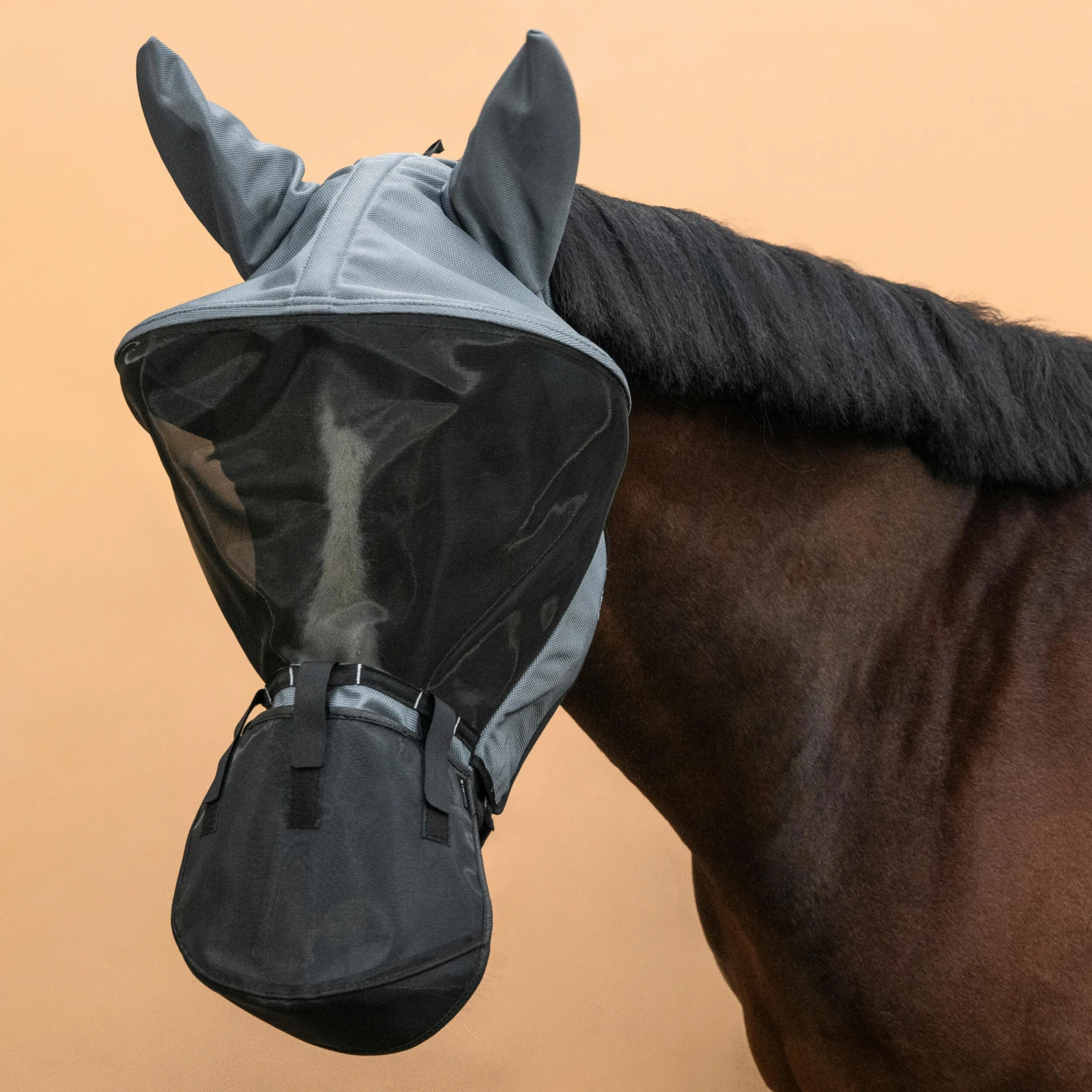 Horse Riding Fly Mask With Frame For Horse & Pony 3 Horse Riding Fly Mask With Frame For Horse & Pony - Image 3