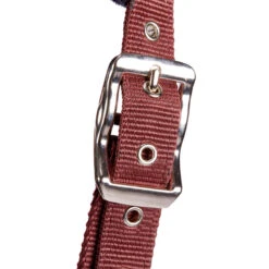 Winner Horse Riding Halter For Horse And Pony -Pro Rider Shop kf77a6c85e2bfcdea5ce9256a46b10cab