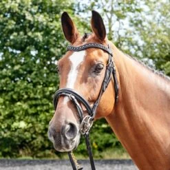 Lynton Flash Bridle With X2 Browbands 10 Lynton Flash Bridle With X2 Browbands -Pro Rider Shop kfd93ae348c85dc2cfd58257f309fa5ef
